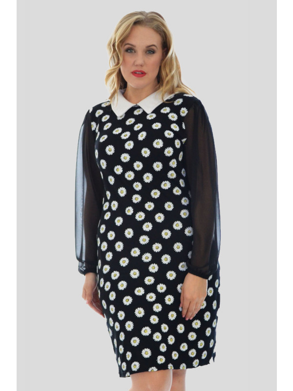 Daisy Plus Size Chiffon Sleeve Printed Dress 16-24